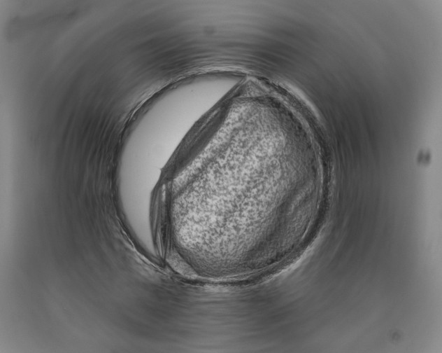 X0000091950777200709271325