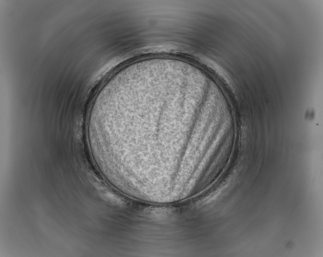 X0000091950778200709271325