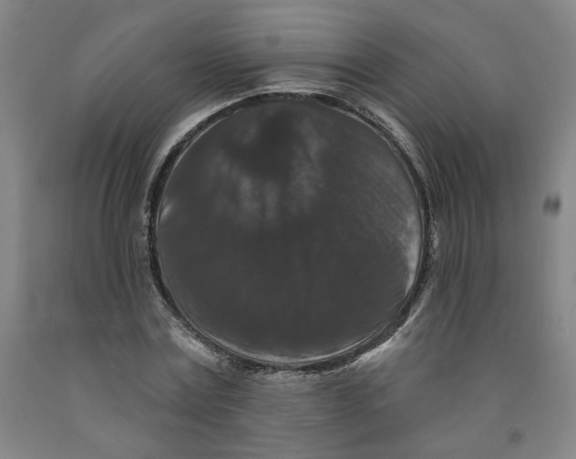 X0000091950779200709271325