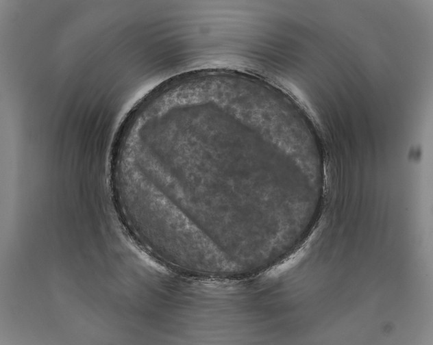 X0000091950780200709271325