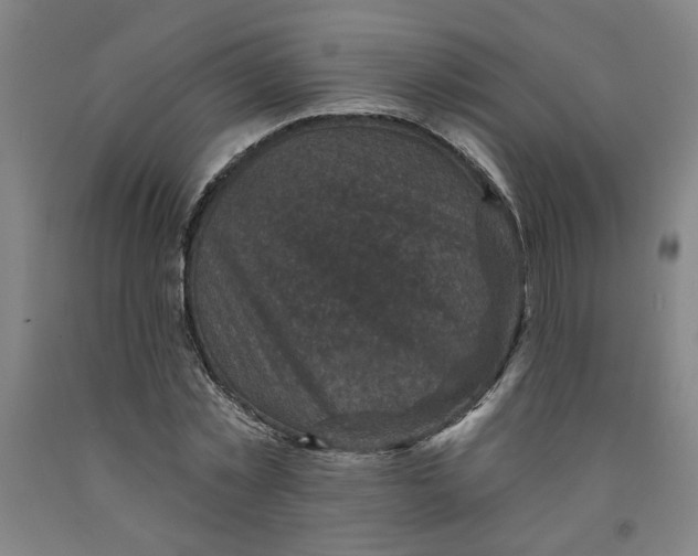 X0000091950781200709271325