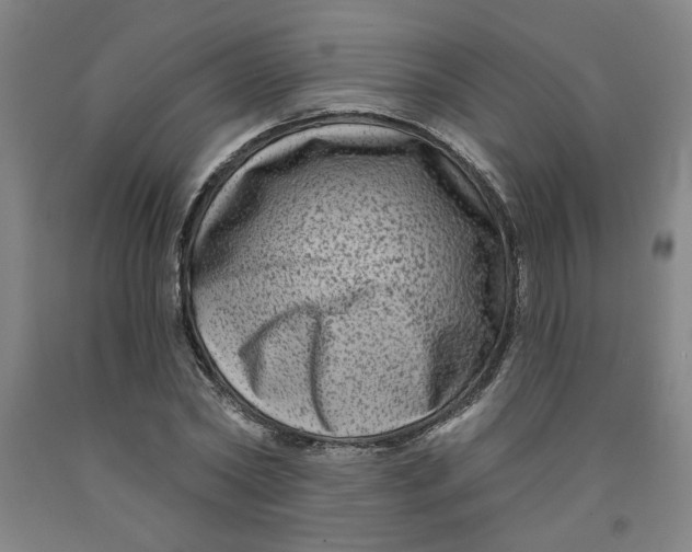 X0000091950782200709271325