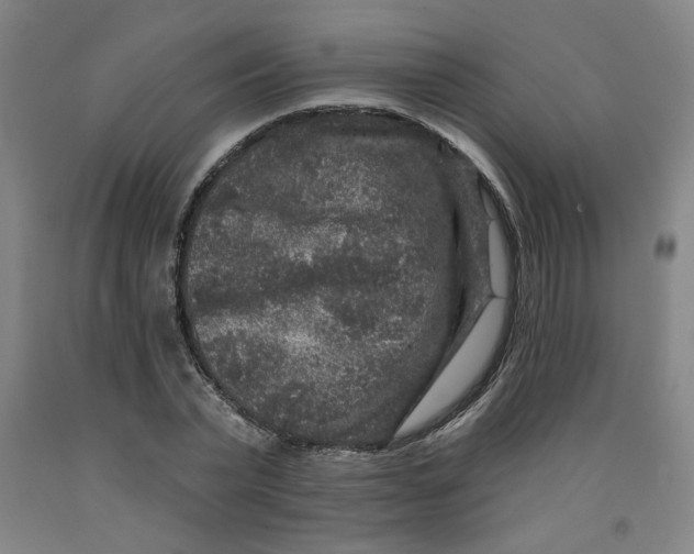 X0000091950783200709271325