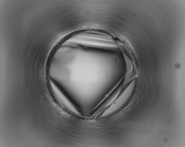 X0000091950784200709271325