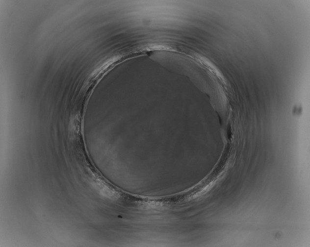 X0000091950785200709271325