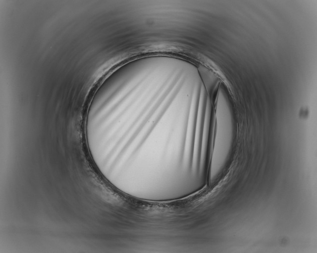 X0000091950786200709271325