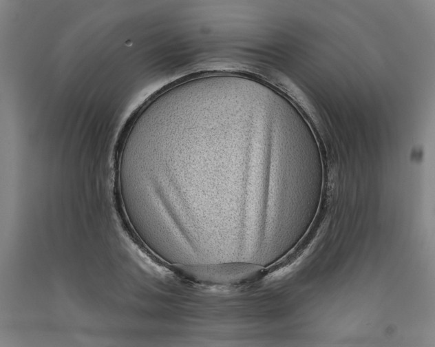 X0000091950787200709271325