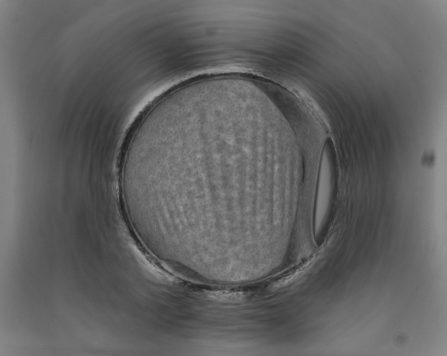 X0000091950789200709271325