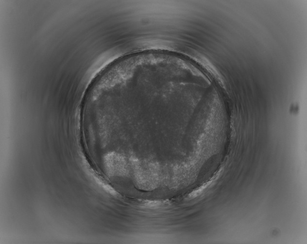 X0000091950790200709271325