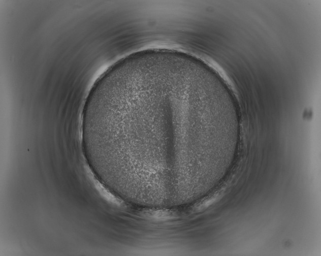 X0000091950791200709271325