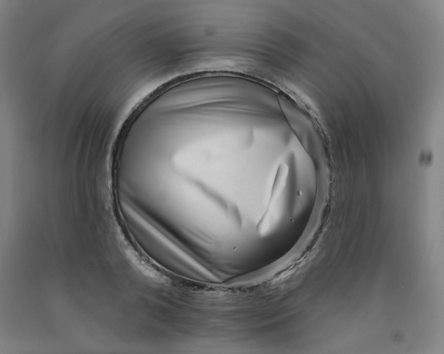 X0000091950792200709271325