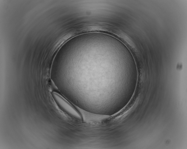 X0000091950793200709271325