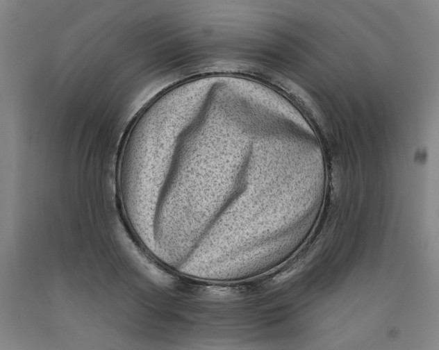 X0000091950794200709271325