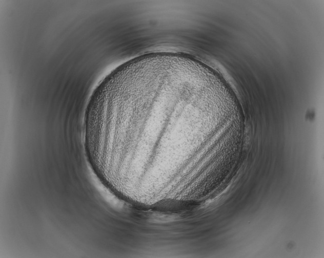 X0000091950795200709271325