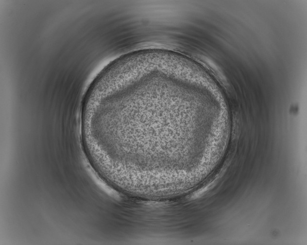 X0000091950796200709271325