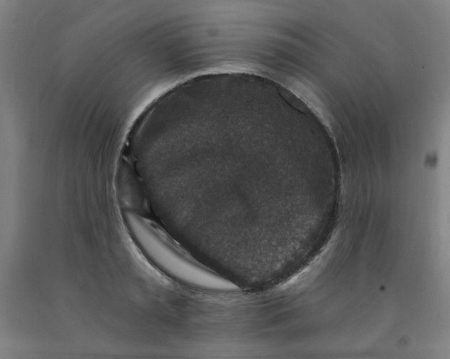 X0000091950797200709271325