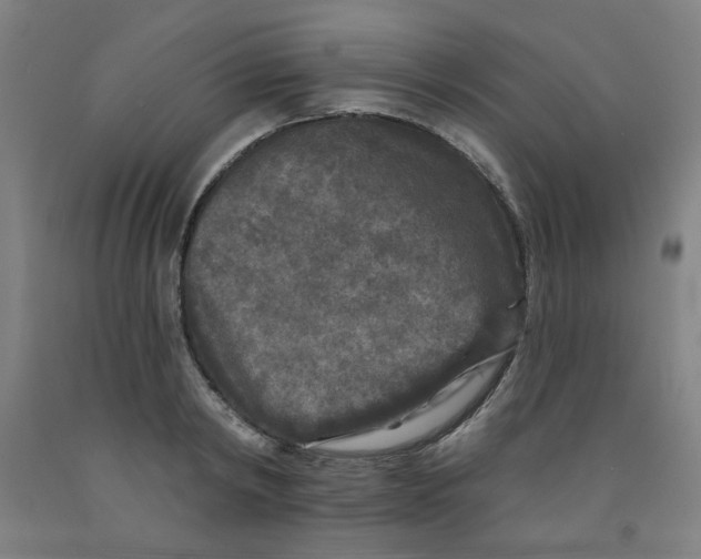 X0000091950798200709271325