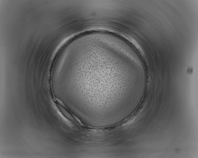 X0000091950799200709271325