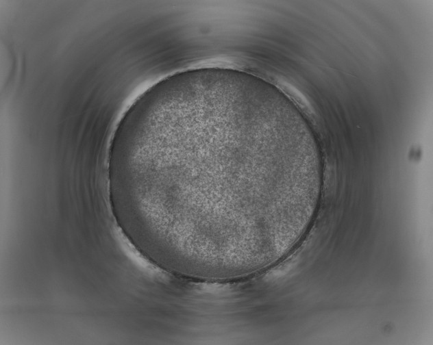 X0000091950800200709271325