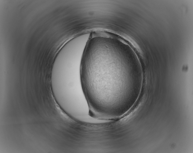 X0000091950801200709271325