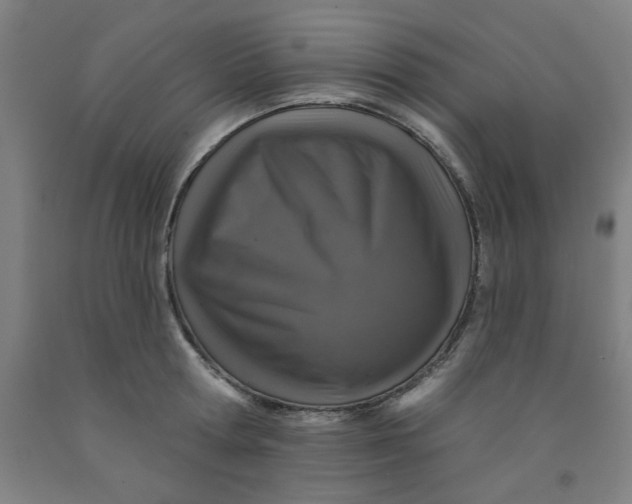 X0000091950802200709271325