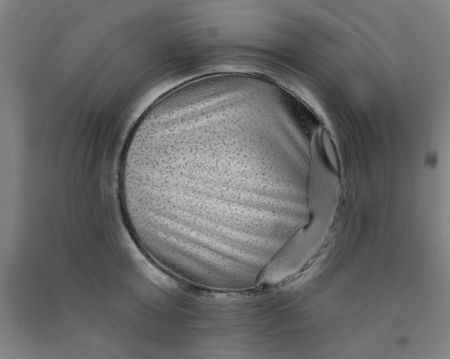 X0000091950803200709271325