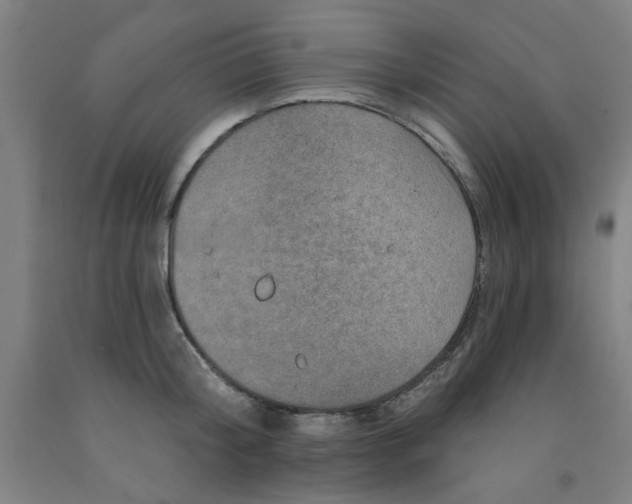 X0000091950804200709271325