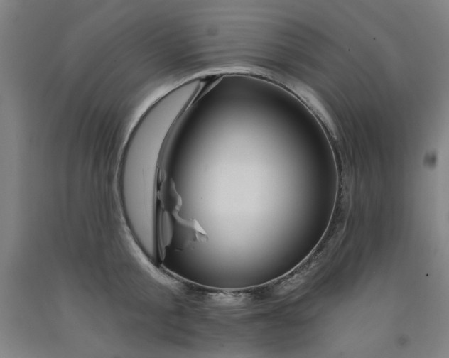 X0000091950805200709271325