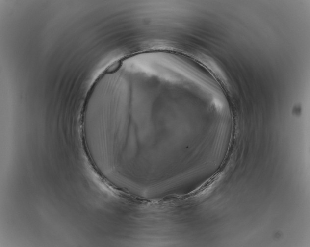 X0000091950806200709271325