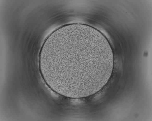 X0000091950807200709271325