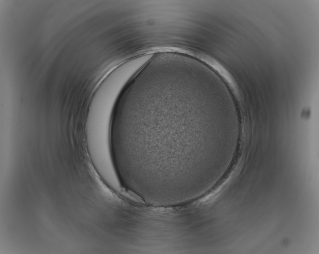 X0000091950809200709271325