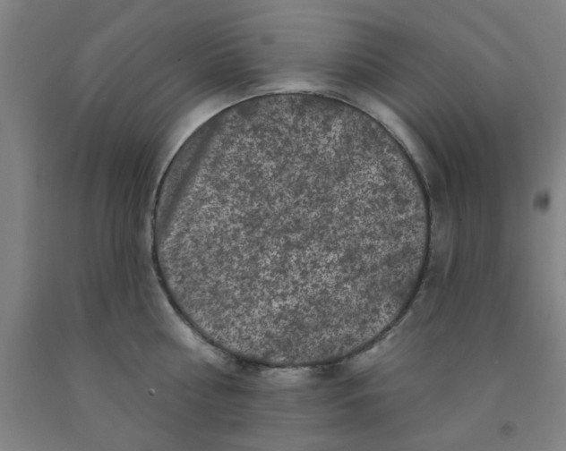 X0000091950810200709271325