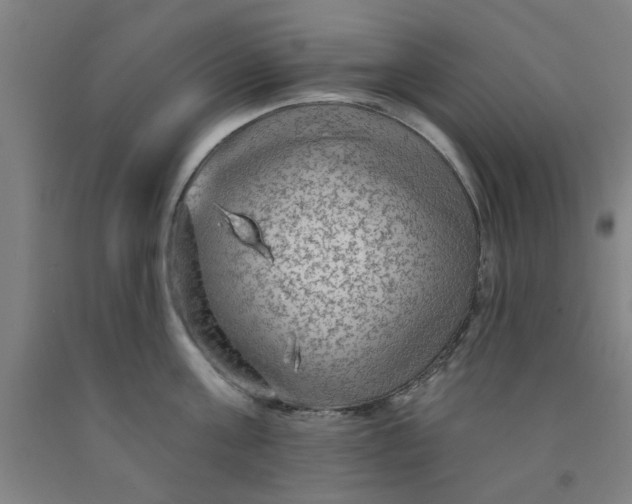 X0000091950811200709271325