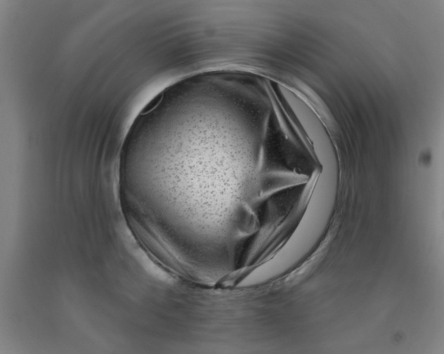 X0000091950812200709271325