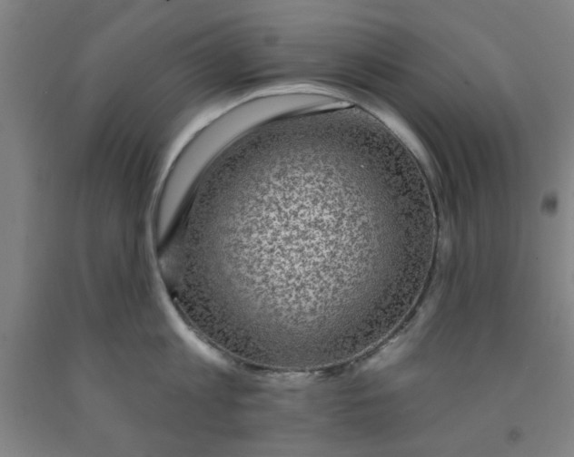 X0000091950813200709271325