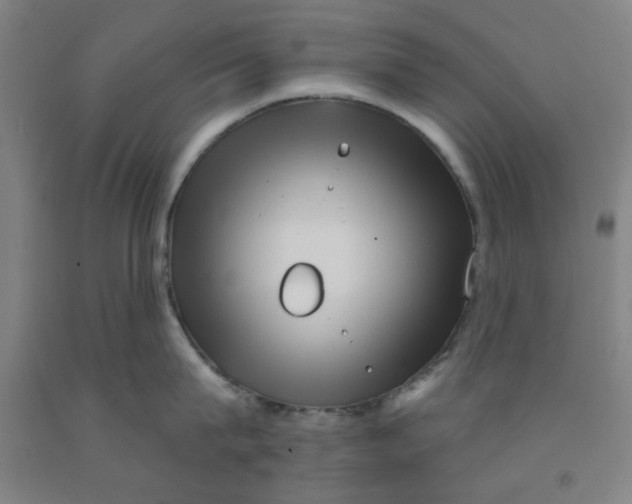 X0000091950815200709271325