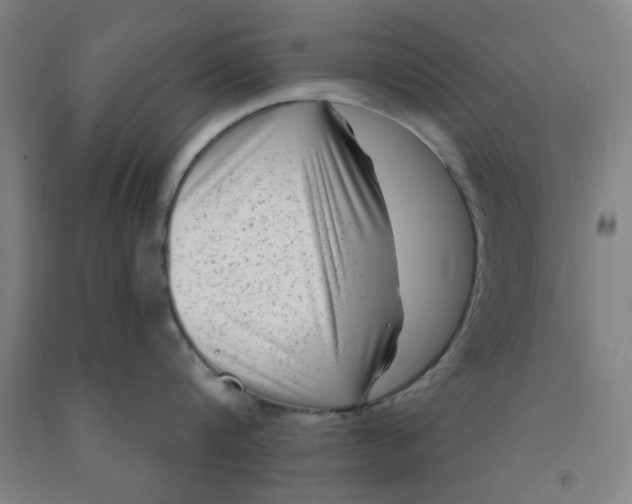 X0000091950816200709271325