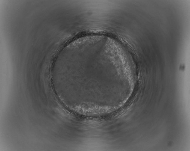 X0000091950817200709271324