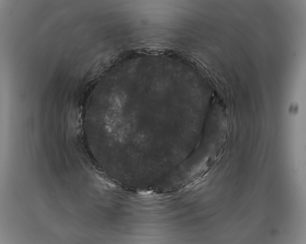 X0000091950818200709271324