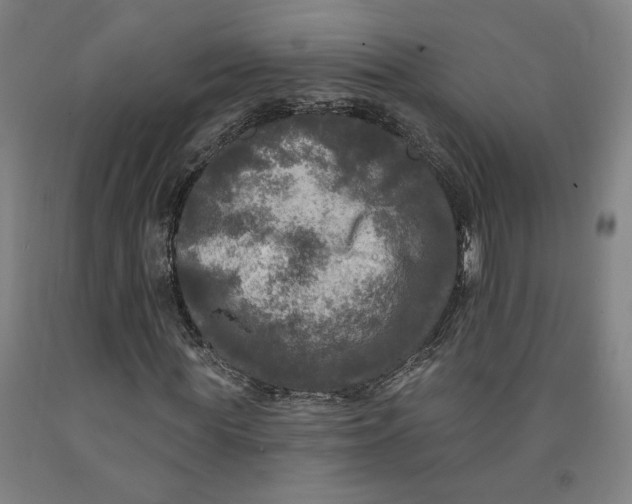 X0000091950819200709271324