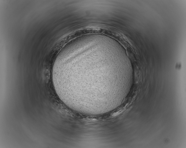 X0000091950821200709271324