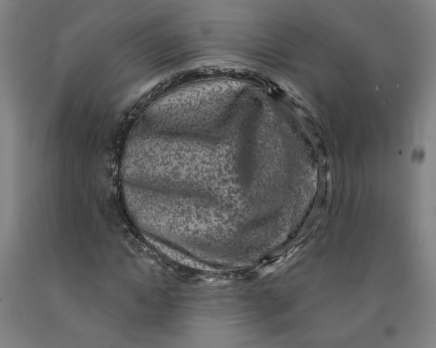 X0000091950822200709271324