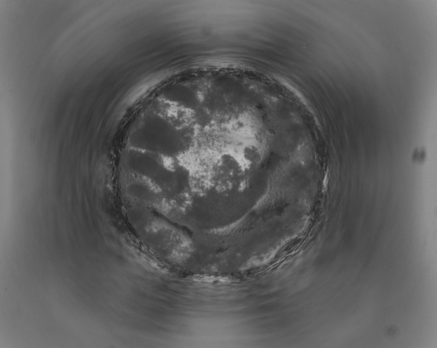 X0000091950823200709271324