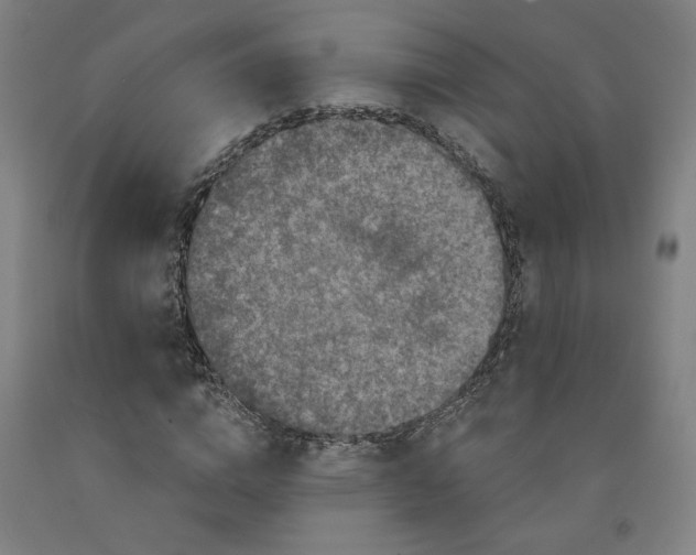 X0000091950824200709271324