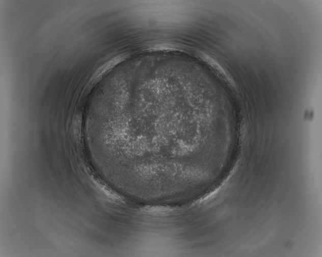 X0000091950825200709271324