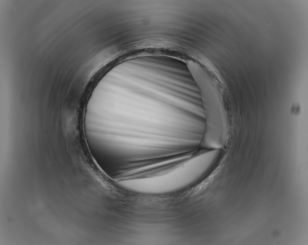 X0000091950826200709271324