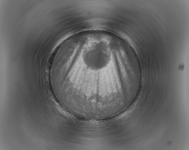 X0000091950827200709271324