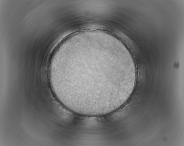 X0000091950828200709271324