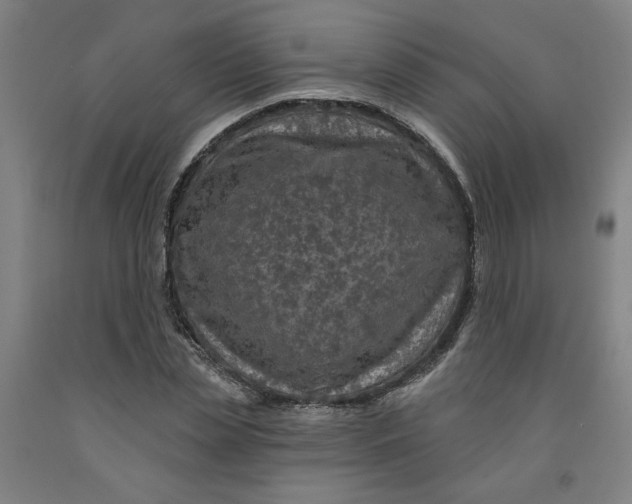 X0000091950829200709271324