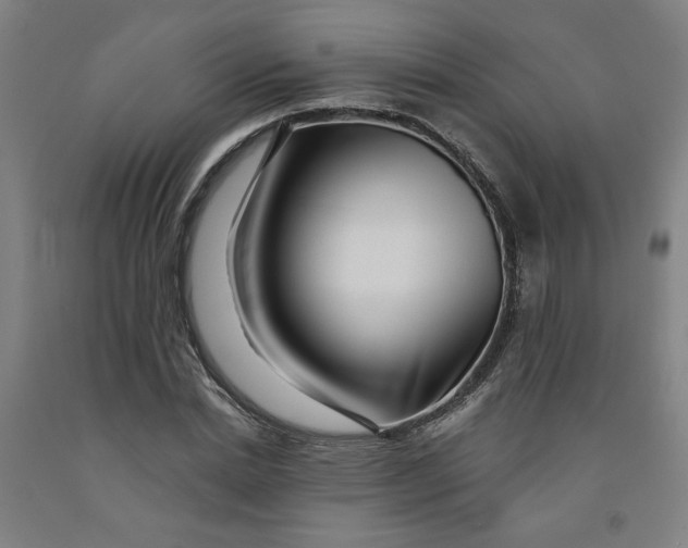 X0000091950830200709271324